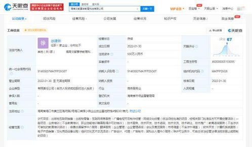 文都教育海南布局新篇章 成立教育科技公司，加碼網絡文化經營
